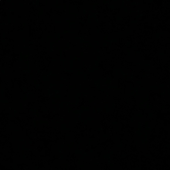 Meet your Posher, Brianna - Picture 1 of 1